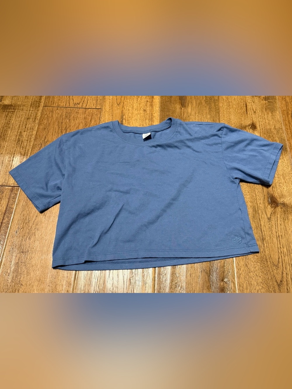Zine Clothing Blue Crewneck Cropped Tee